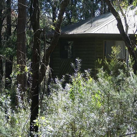 Twin Falls Bush Cottages Fitzroy Falls المظهر الخارجي الصورة