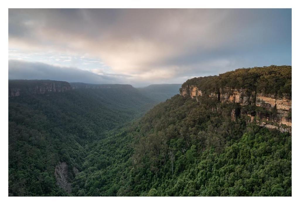 Twin Falls Bush Cottages Fitzroy Falls المظهر الخارجي الصورة