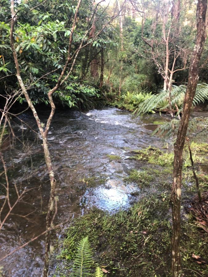 Twin Falls Bush Cottages Fitzroy Falls المظهر الخارجي الصورة