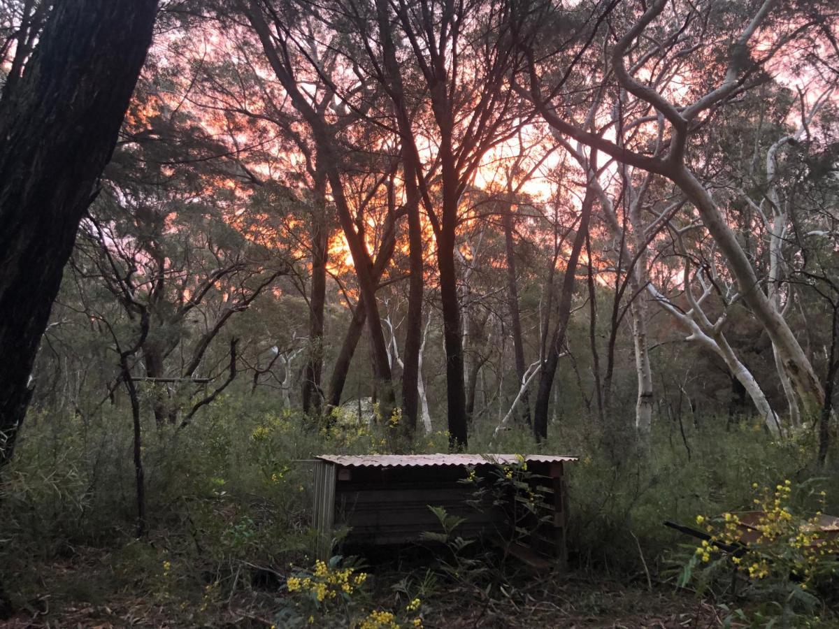 Twin Falls Bush Cottages Fitzroy Falls المظهر الخارجي الصورة