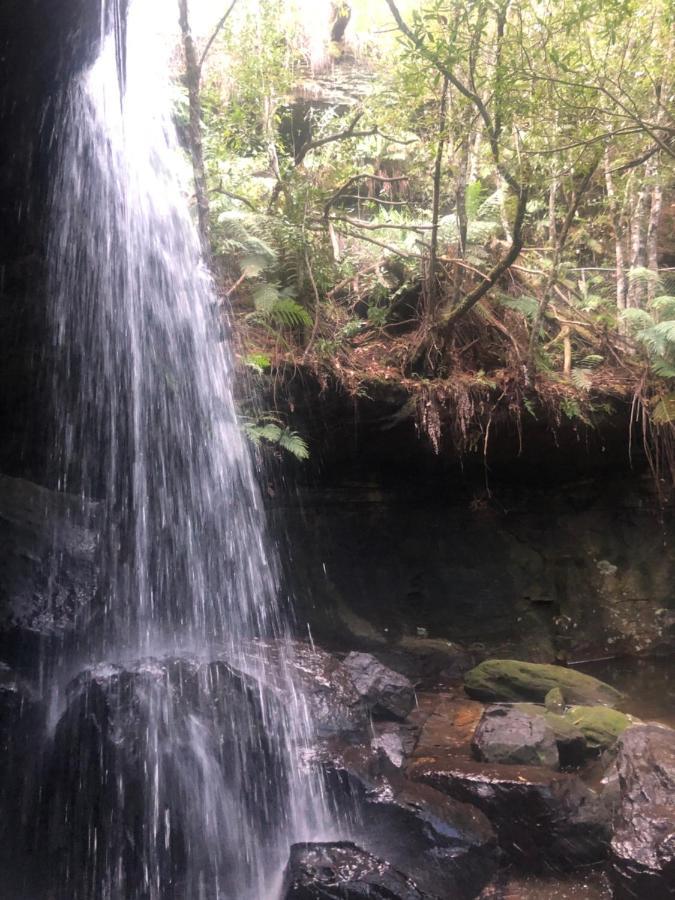 Twin Falls Bush Cottages Fitzroy Falls المظهر الخارجي الصورة