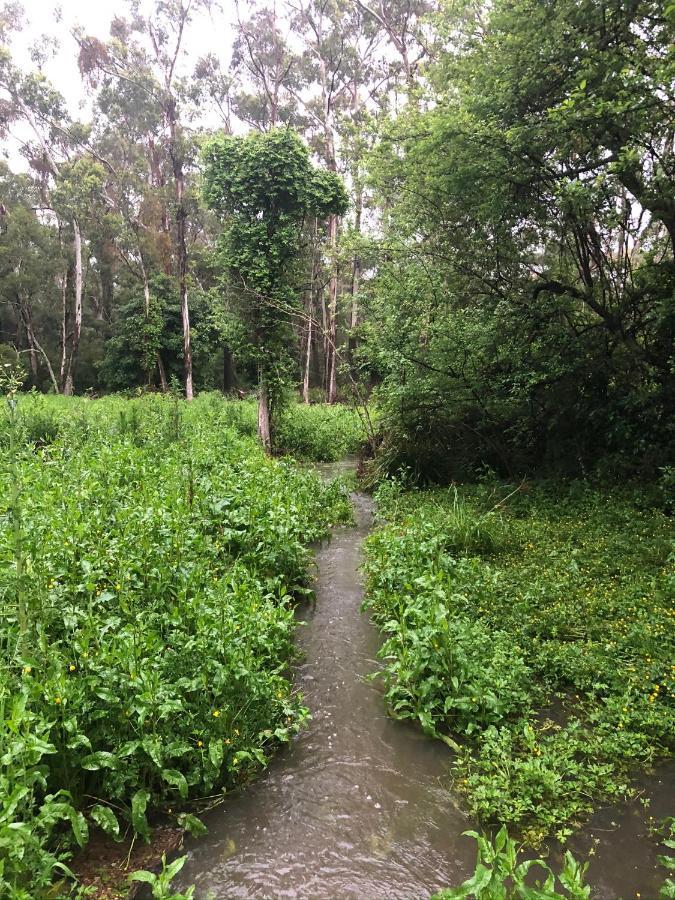 Twin Falls Bush Cottages Fitzroy Falls المظهر الخارجي الصورة