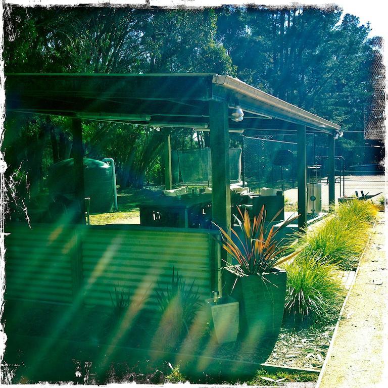 Twin Falls Bush Cottages Fitzroy Falls الغرفة الصورة