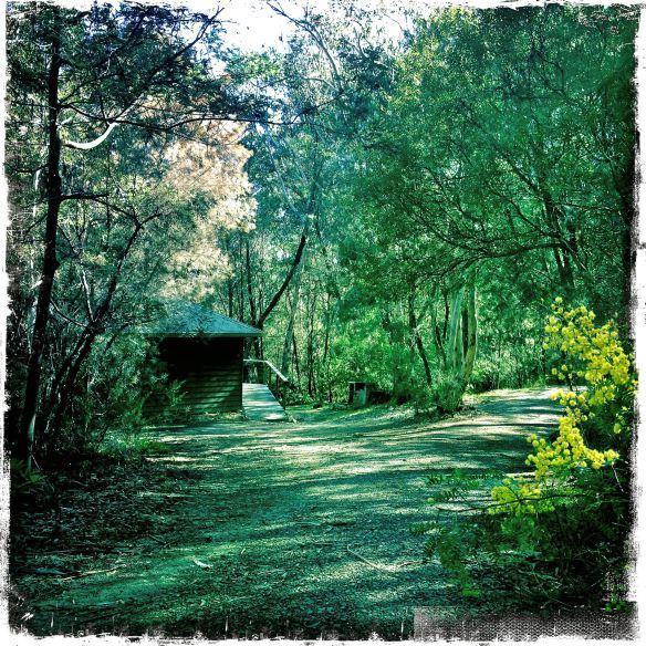 Twin Falls Bush Cottages Fitzroy Falls الغرفة الصورة