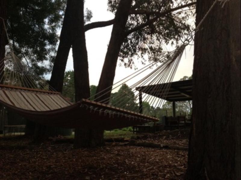Twin Falls Bush Cottages Fitzroy Falls المظهر الخارجي الصورة