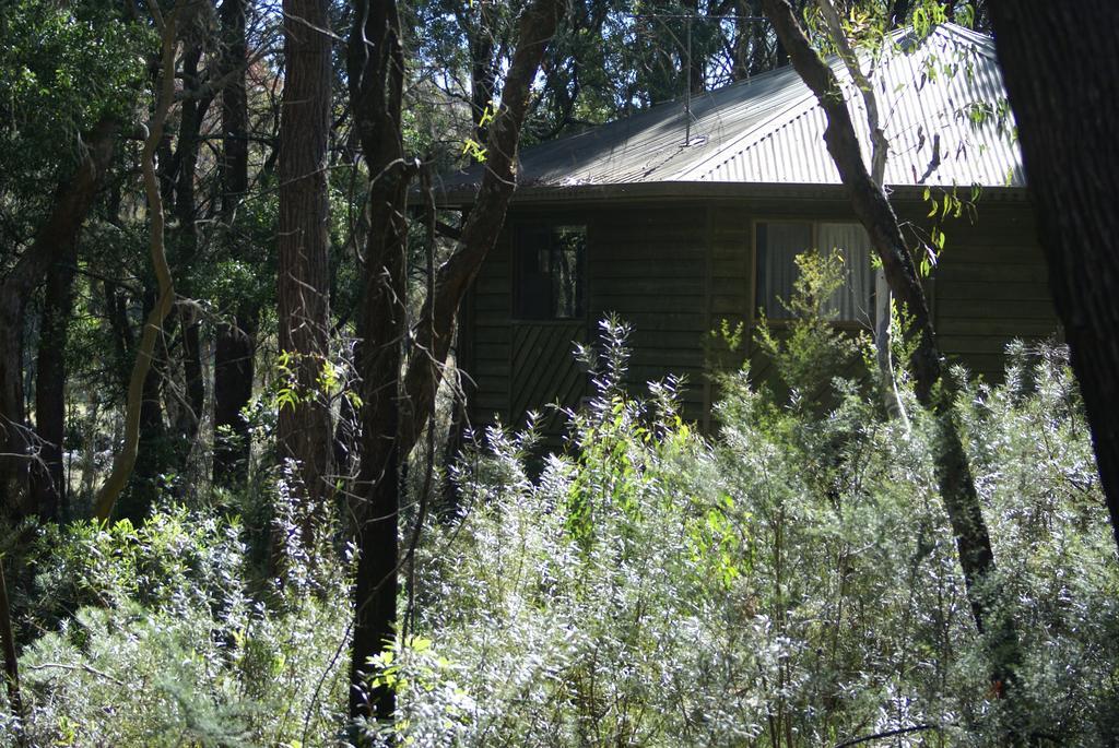 Twin Falls Bush Cottages Fitzroy Falls المظهر الخارجي الصورة